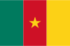 chaînes de télévision  Cameroun en direct