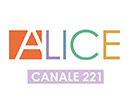 Regardez Alice TV en direct