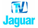 Regardez TV Jaguar en direct