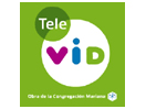 Regardez Tele Vid en direct
