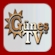 Regardez Gunes TV Malatya en direct