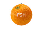 Regardez Fresh TV en direct