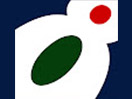 Kanal 8 live