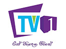Regardez TV 1 en direct