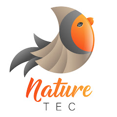 Regardez Uplengen Bird and Hedgehog Feeder Cam en direct