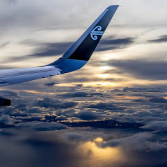 Wellington Airport Live Webcam